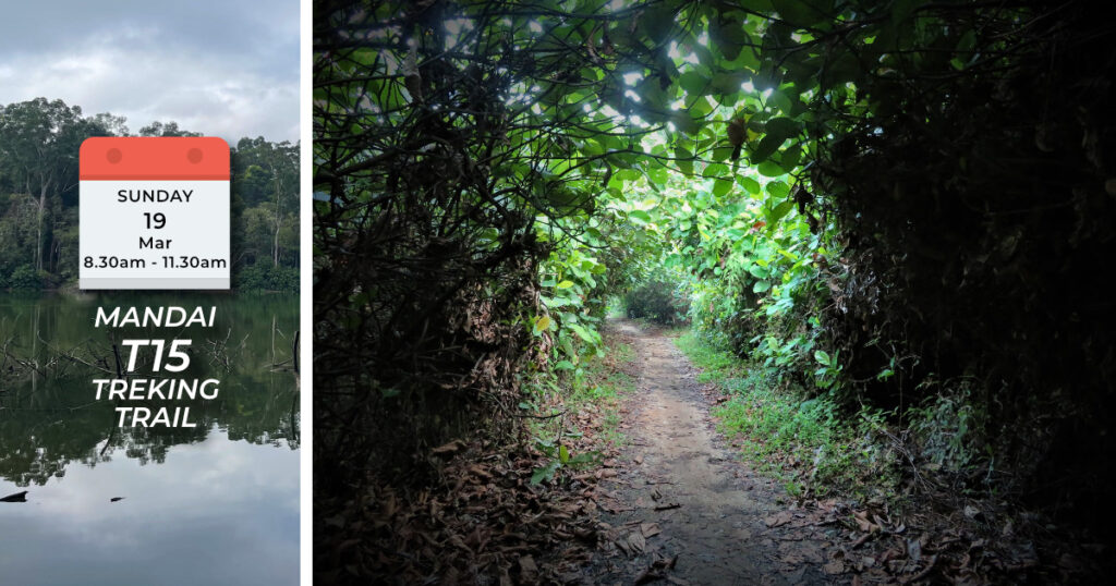 MANDAI T15 TREKING TRAIL Sun, 19th March 2023 8.30am - 11.30am