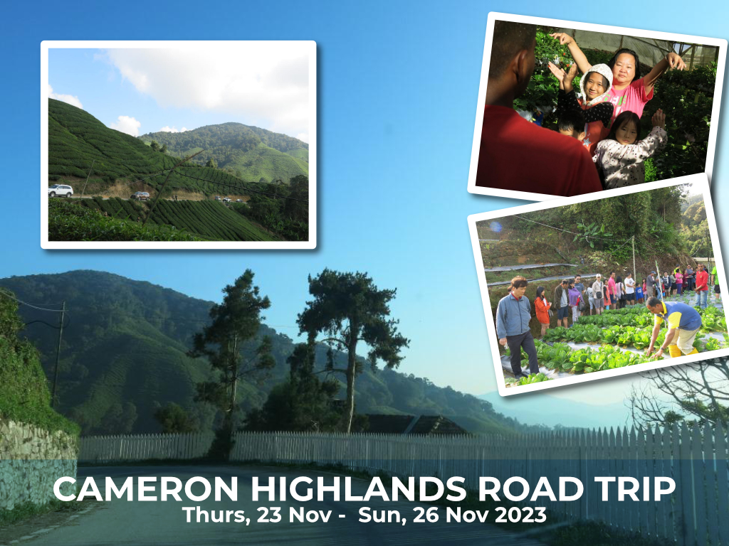 The Cameron Highlands Road Trip Thurs, 23 Nov - Sun, 26 Nov 2023