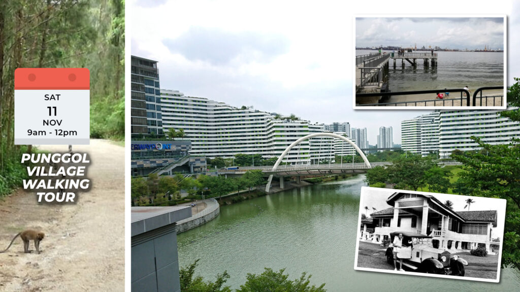 PUNGGOL VILLAGE WALKING TOUR Sat, 11th Nov 2023 9am to 12pm