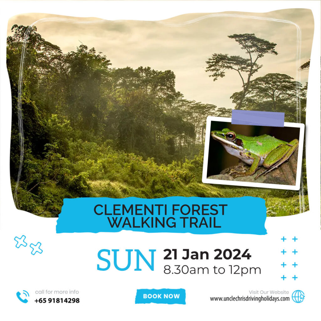 CLEMENTI FOREST WALKING TRAIL Sun, 21st Jan 2024 8.30am to 12pm