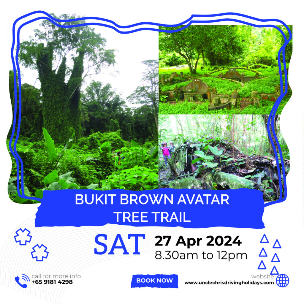 BUKIT BROWN AVATAR TREE TRAIL Sat, 27th Apr 2024 8.30am to 12pm