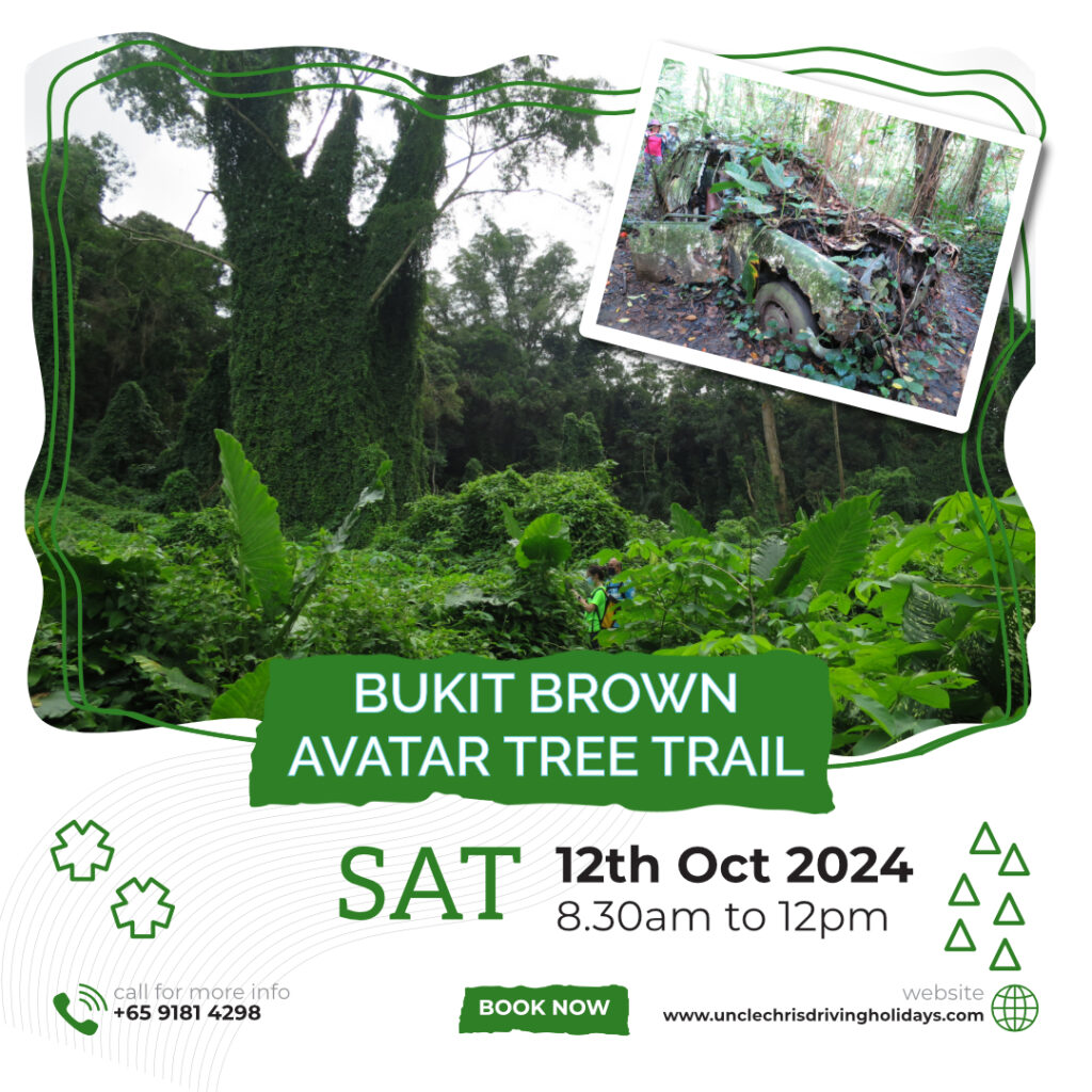 BUKIT BROWN AVATAR TREE TRAIL Sat, 12th Oct 2024 8.30am to 12pm