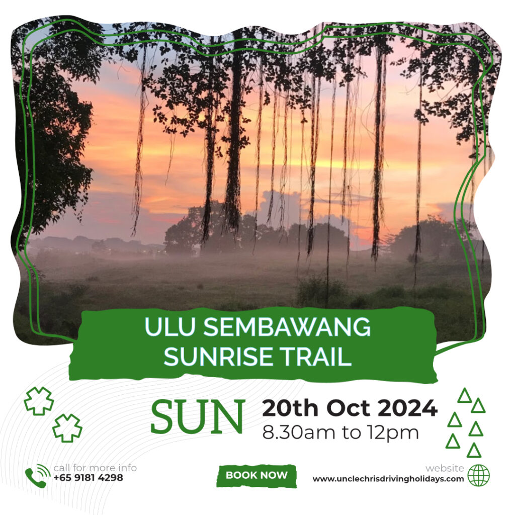 ULU SEMBAWANG SUNRISE TRAIL Sun, 20th Oct 2024 8.30am to 12pm