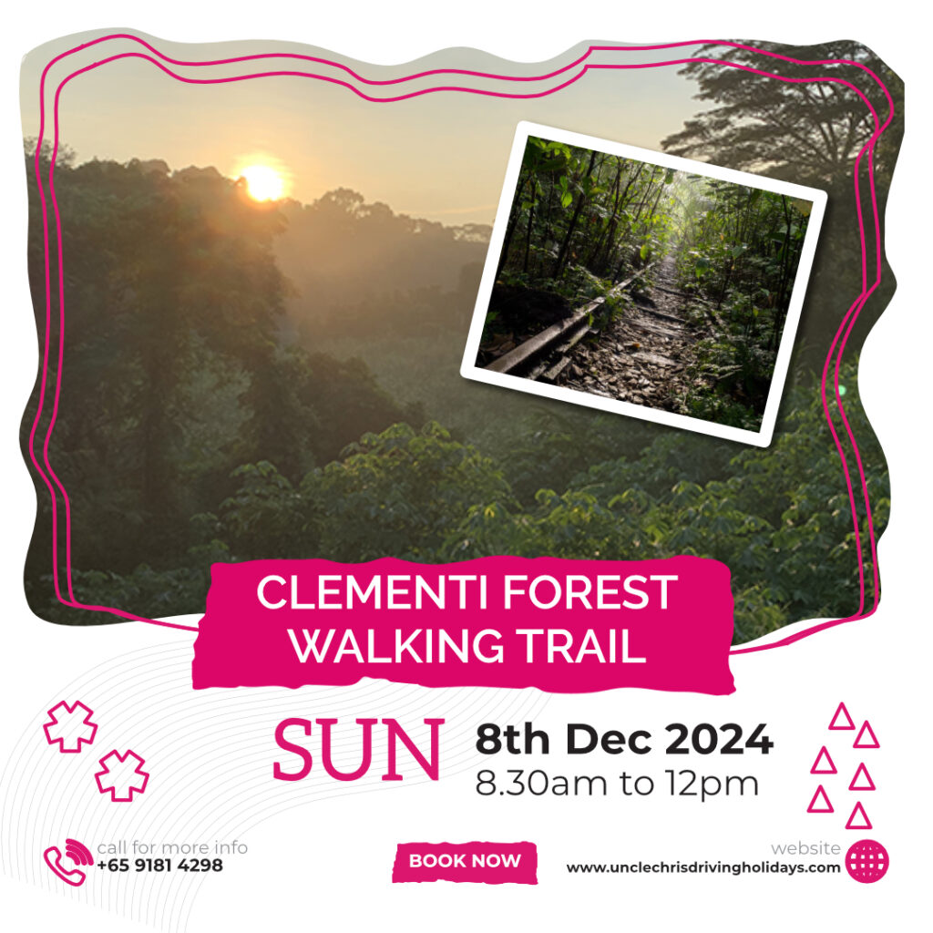 CLEMENTI FOREST WALKING TRAIL Sun, 8th Dec 2024 8.30m to 12pm